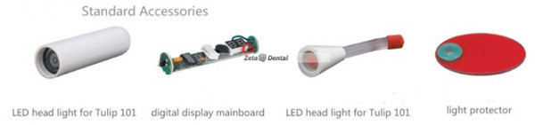 Being® Tulip 101A Digital LED Curing Light